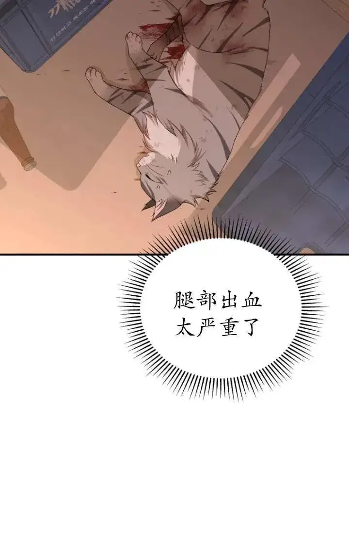 漫画《兽医先生！你好？》第13话第3张图