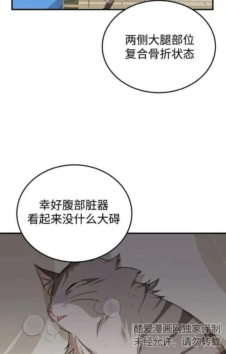 漫画《兽医先生！你好？》第13话第34张图