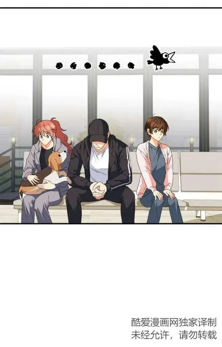 漫画《兽医先生！你好？》第13话第48张图