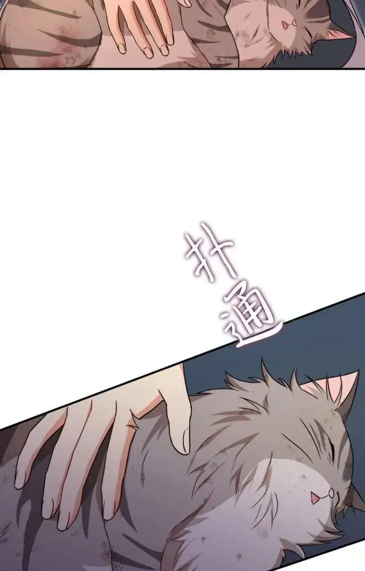 漫画《兽医先生！你好？》第13话第6张图