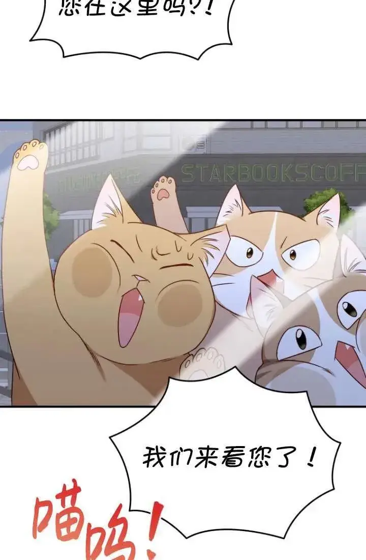 《兽医先生！你好？》第14话图53
