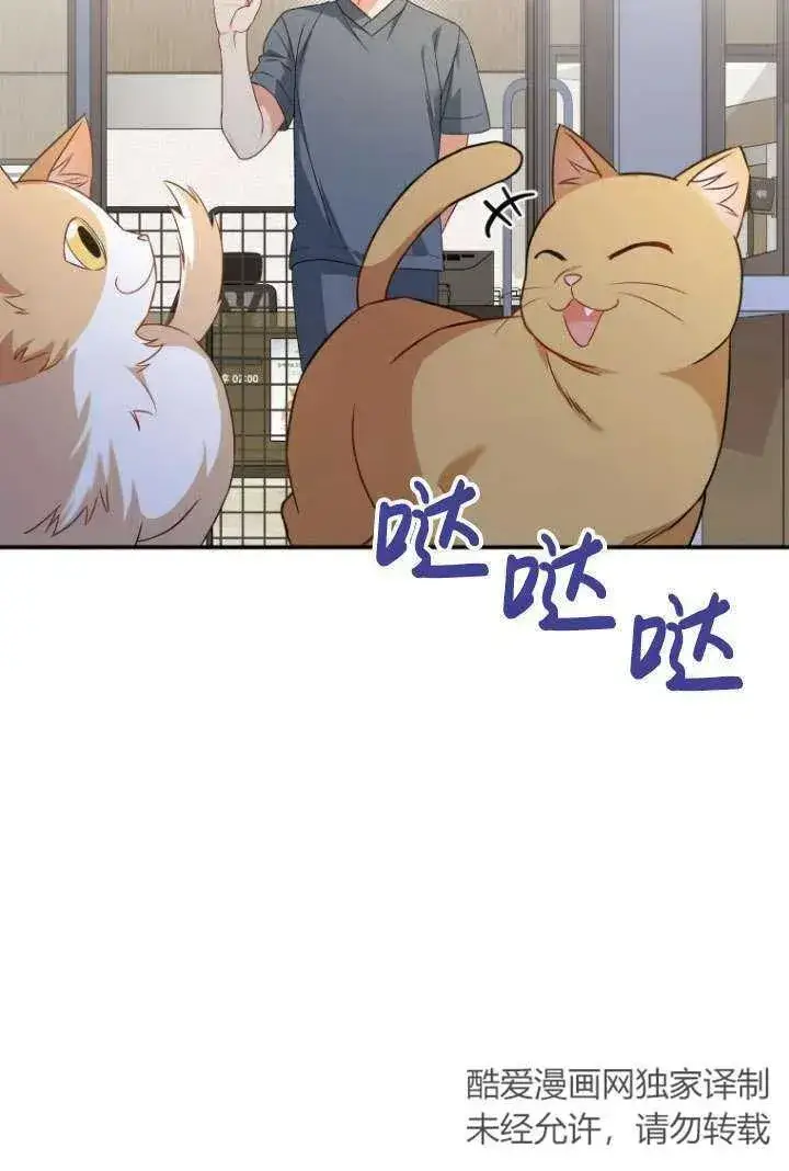 《兽医先生！你好？》第14话图81