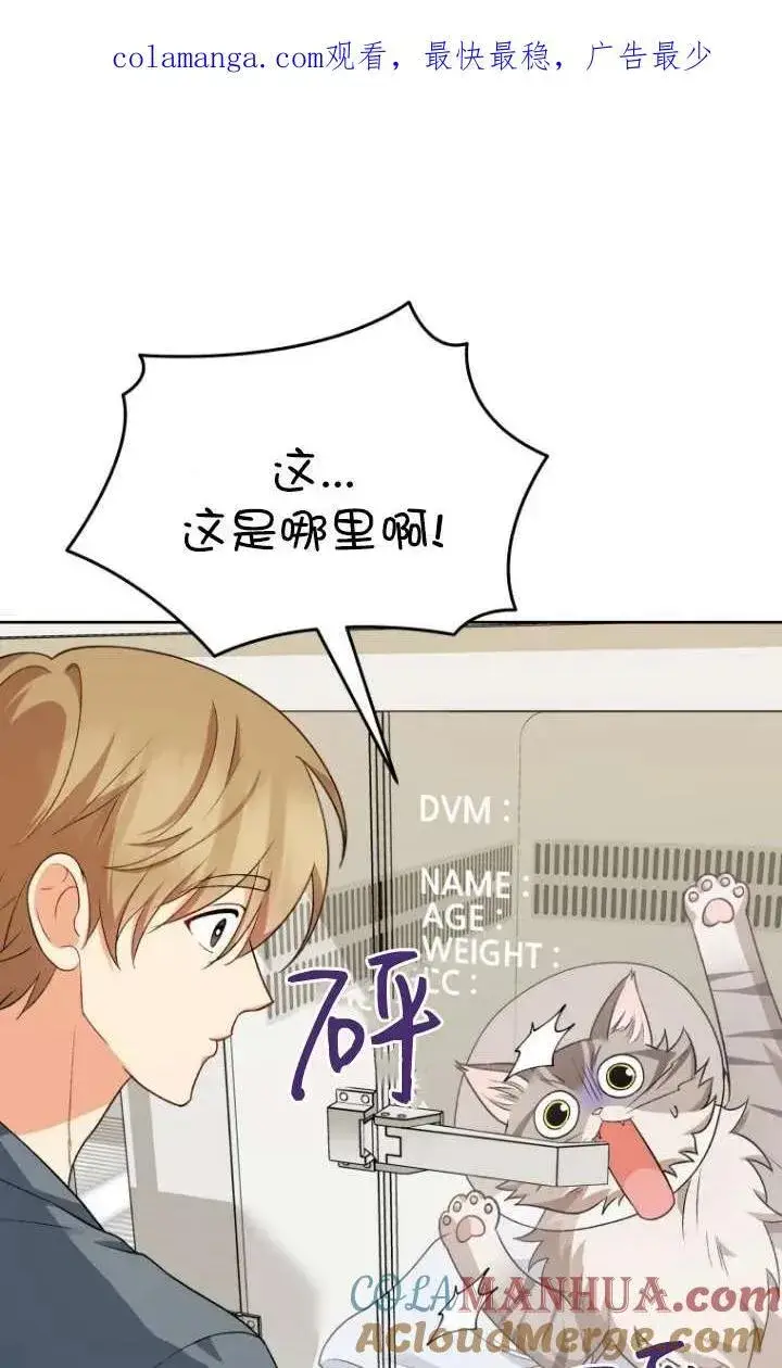 《兽医先生！你好？》第14话图97