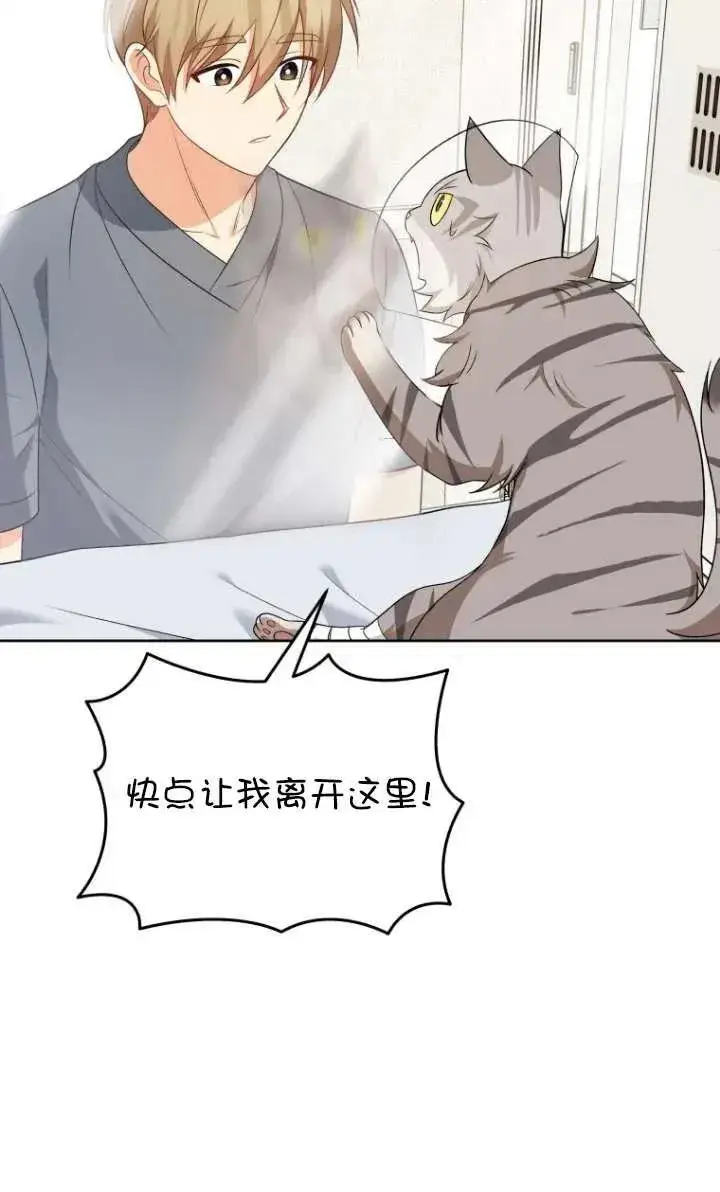 漫画《兽医先生！你好？》第15话第11张图