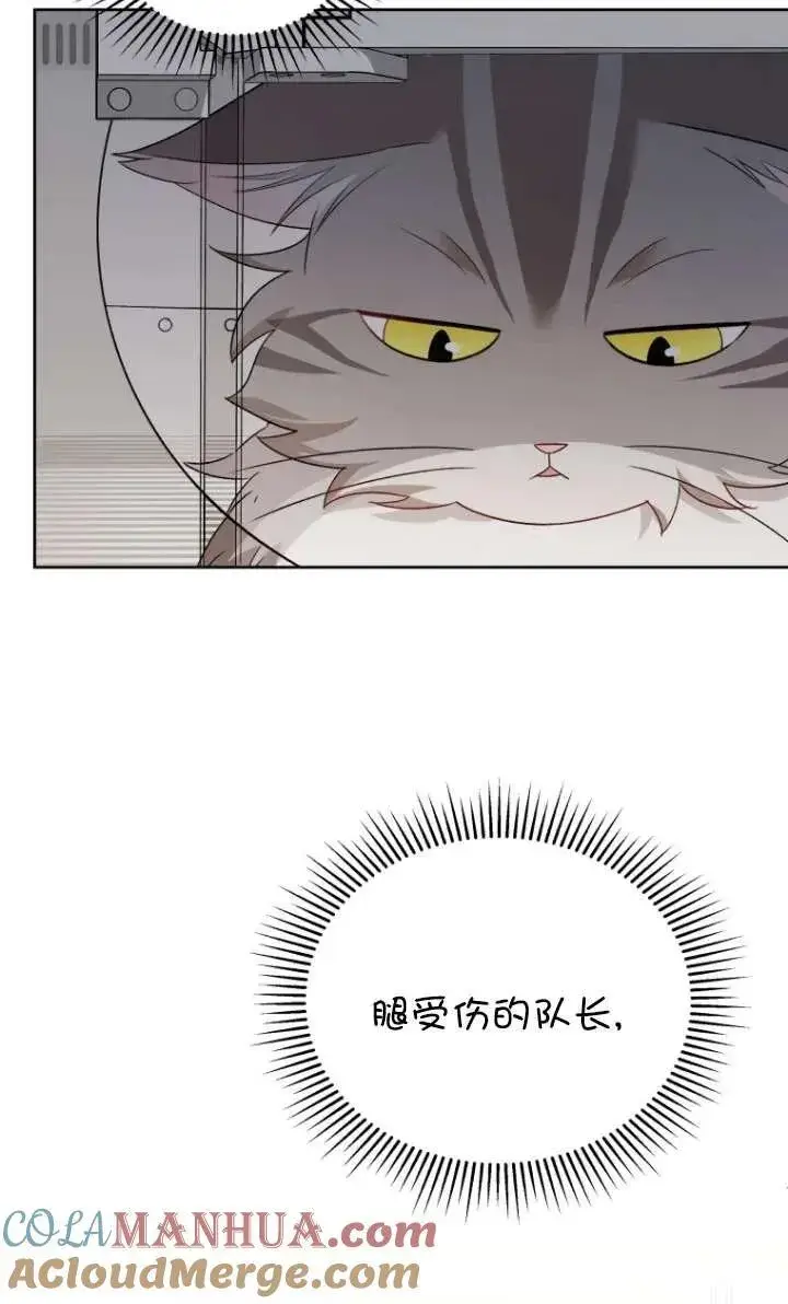 漫画《兽医先生！你好？》第15话第17张图