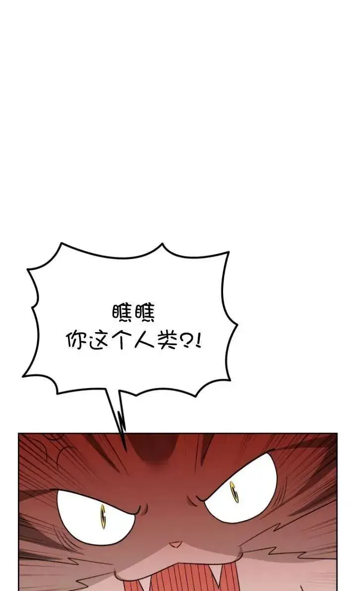 漫画《兽医先生！你好？》第15话第26张图