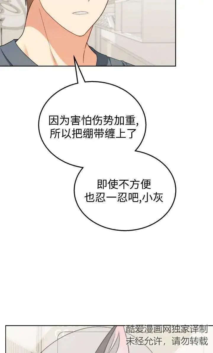 漫画《兽医先生！你好？》第15话第3张图