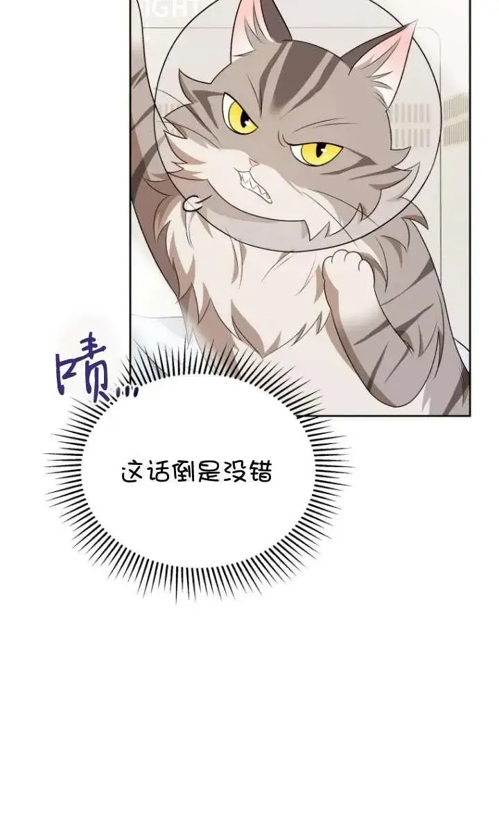 漫画《兽医先生！你好？》第15话第34张图