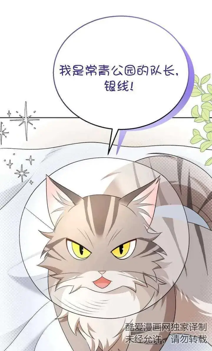 漫画《兽医先生！你好？》第15话第39张图