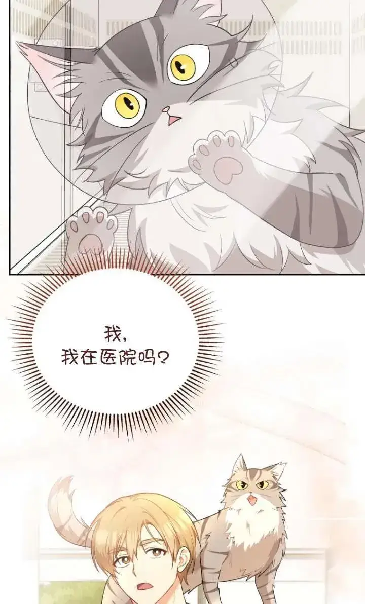 漫画《兽医先生！你好？》第15话第4张图