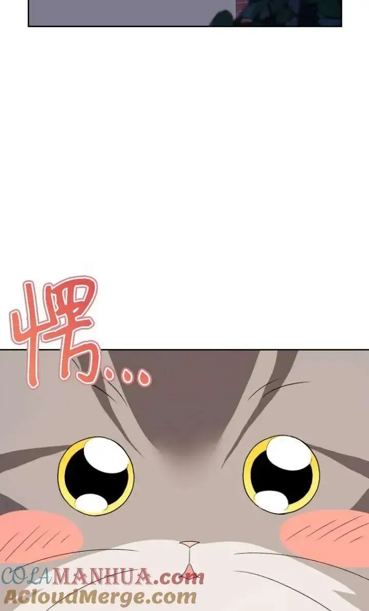 漫画《兽医先生！你好？》第15话第45张图