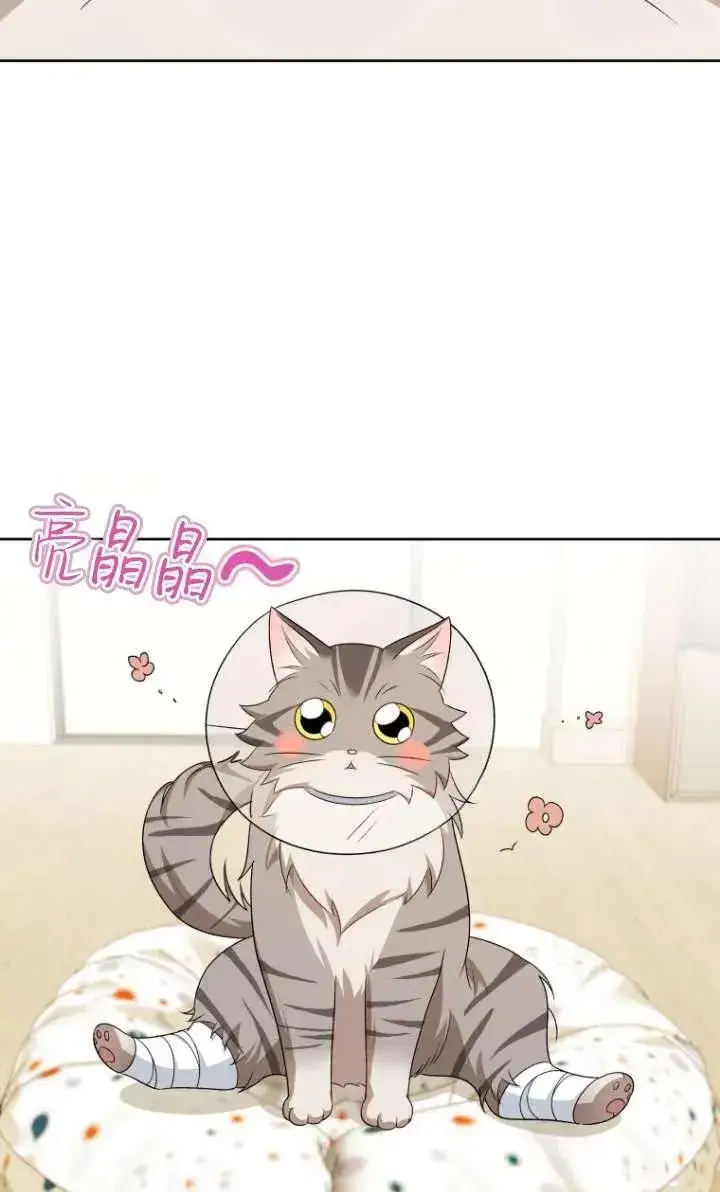 漫画《兽医先生！你好？》第15话第46张图