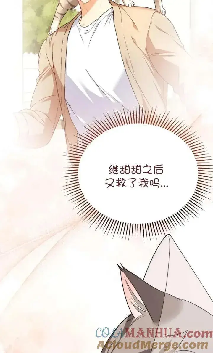 漫画《兽医先生！你好？》第15话第5张图