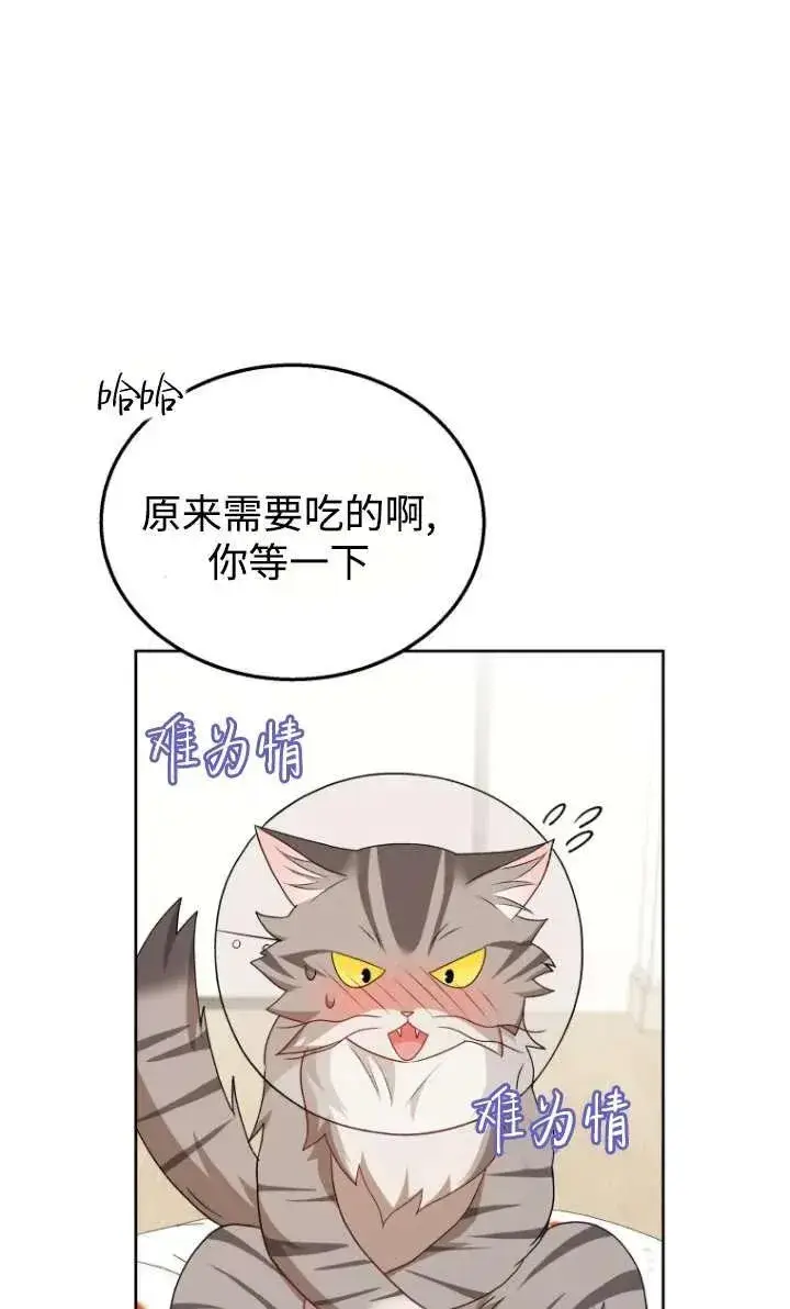 漫画《兽医先生！你好？》第15话第54张图