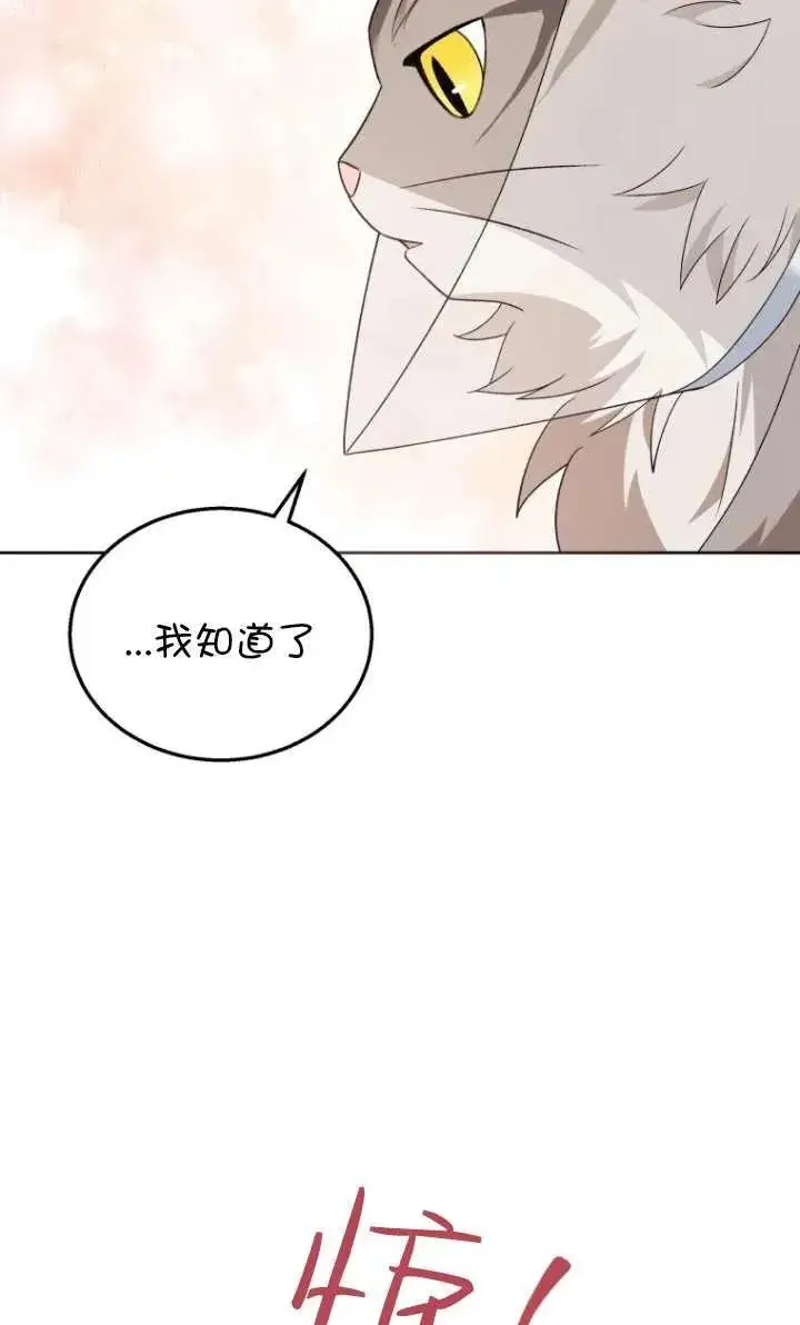 漫画《兽医先生！你好？》第15话第6张图