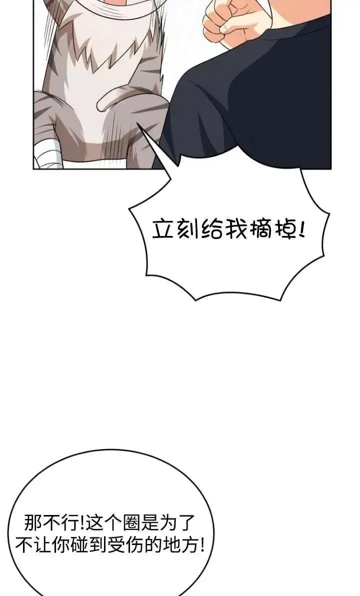漫画《兽医先生！你好？》第15话第62张图