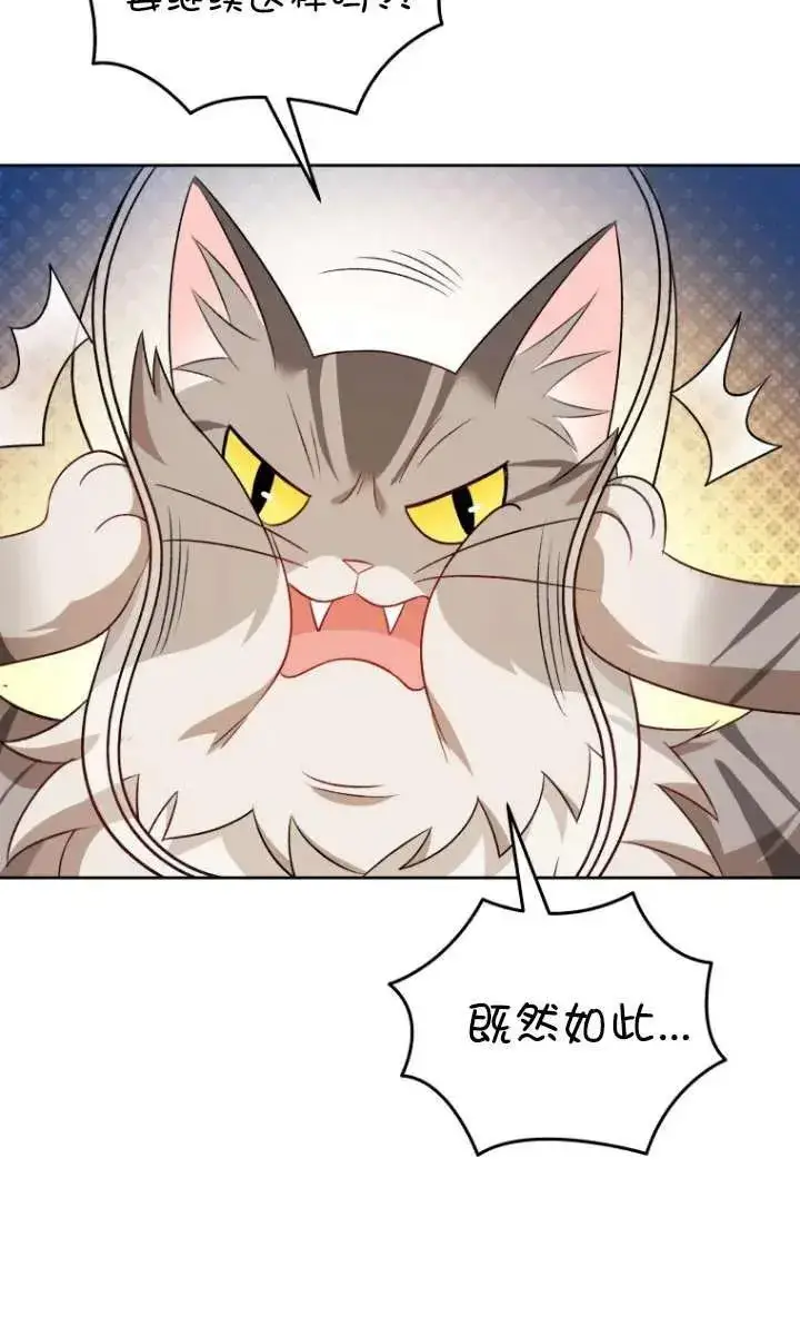 漫画《兽医先生！你好？》第15话第66张图