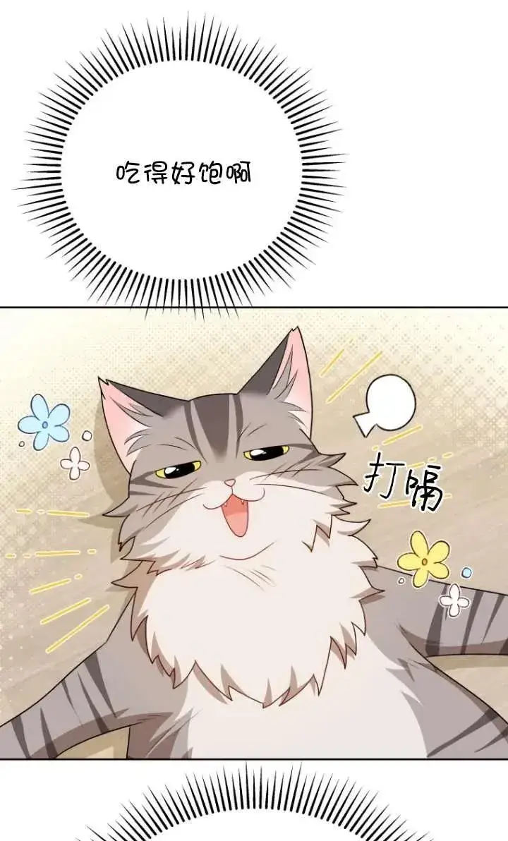 漫画《兽医先生！你好？》第15话第70张图