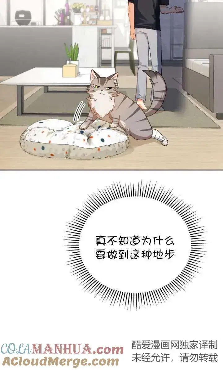 漫画《兽医先生！你好？》第15话第73张图