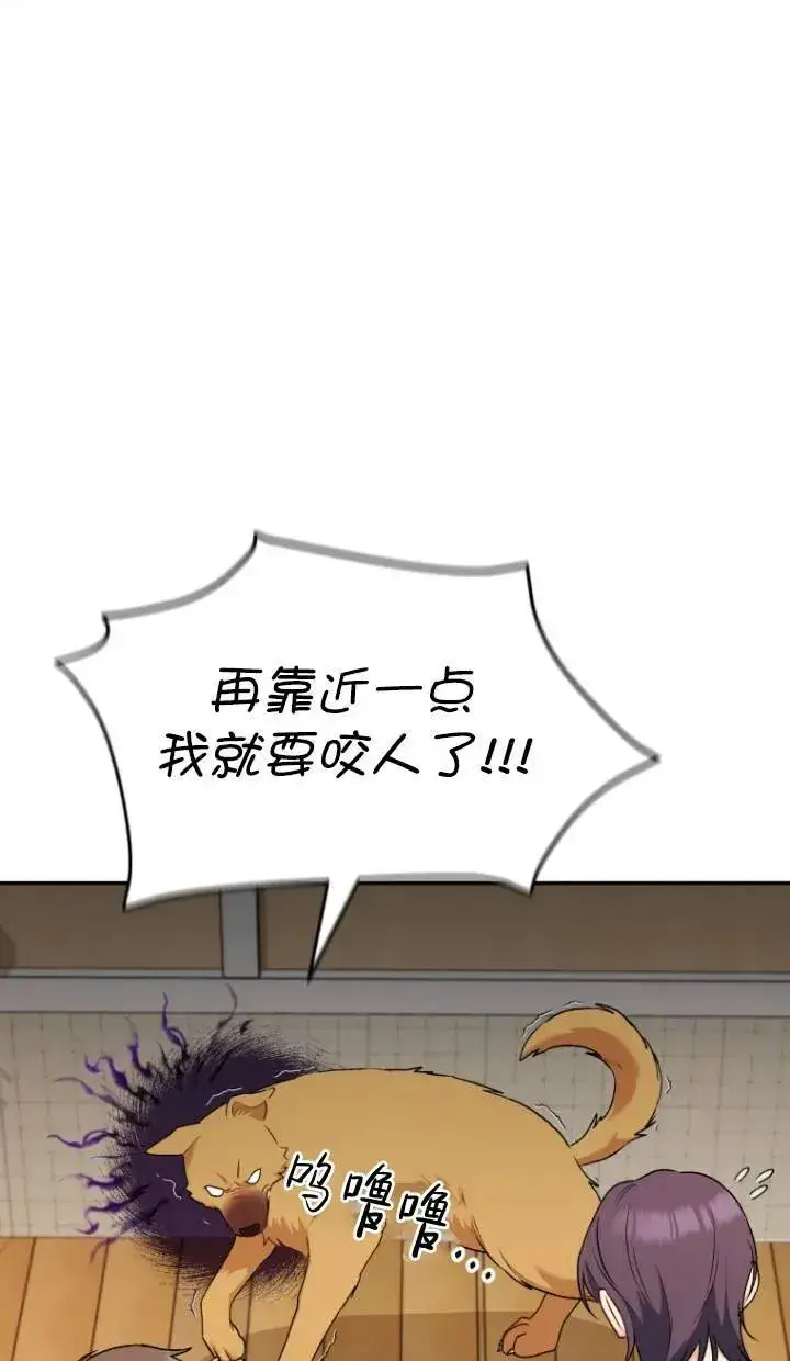 《兽医先生！你好？》第16话图66