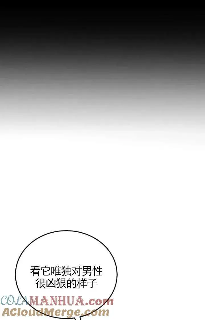 漫画《兽医先生！你好？》第17话第31张图