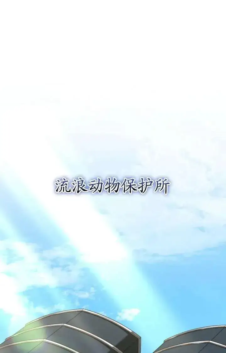 漫画《兽医先生！你好？》第17话第41张图