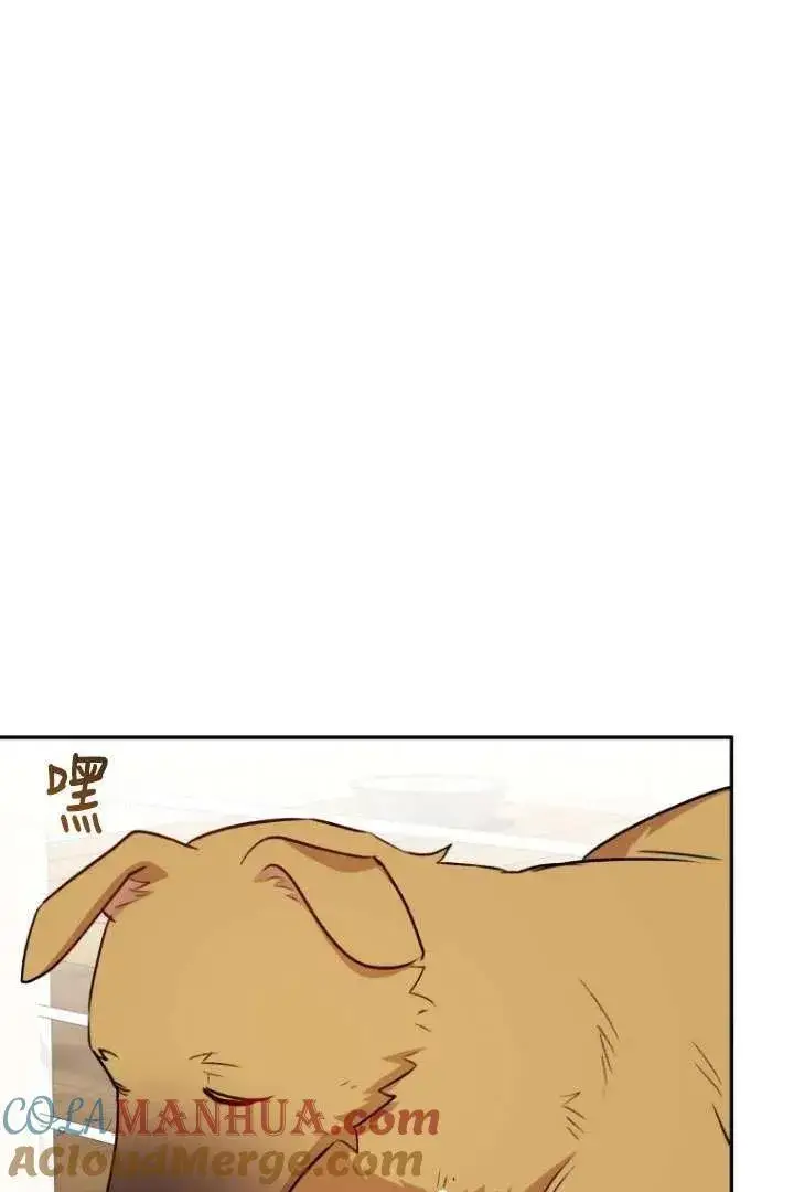 漫画《兽医先生！你好？》第17话第73张图