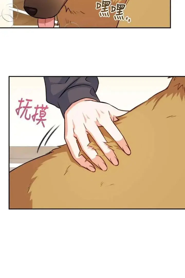 漫画《兽医先生！你好？》第17话第74张图