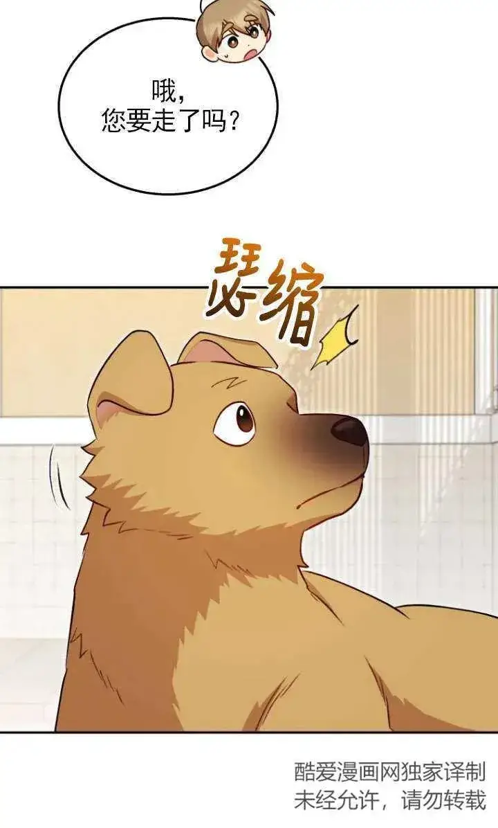 漫画《兽医先生！你好？》第17话第80张图