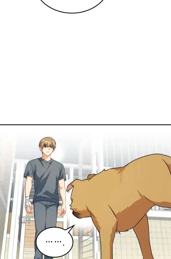 漫画《兽医先生！你好？》第19话第12张图