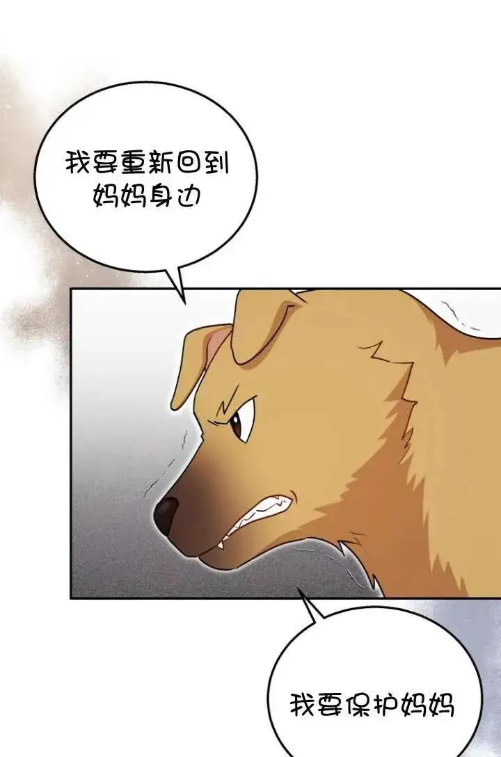 漫画《兽医先生！你好？》第19话第17张图