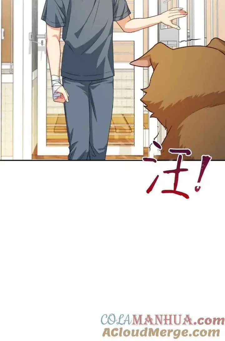 漫画《兽医先生！你好？》第19话第4张图
