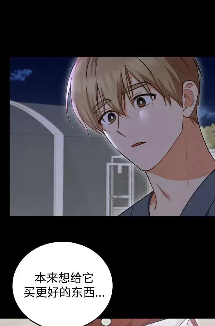 漫画《兽医先生！你好？》第19话第42张图