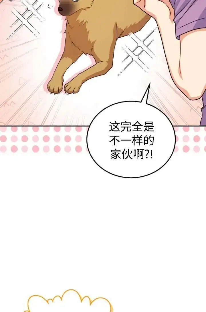 漫画《兽医先生！你好？》第19话第56张图