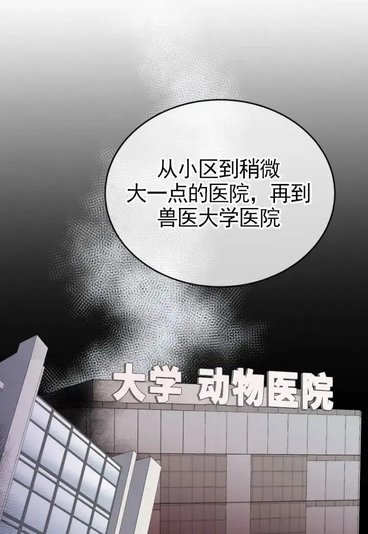 《兽医先生！你好？》第20话图15