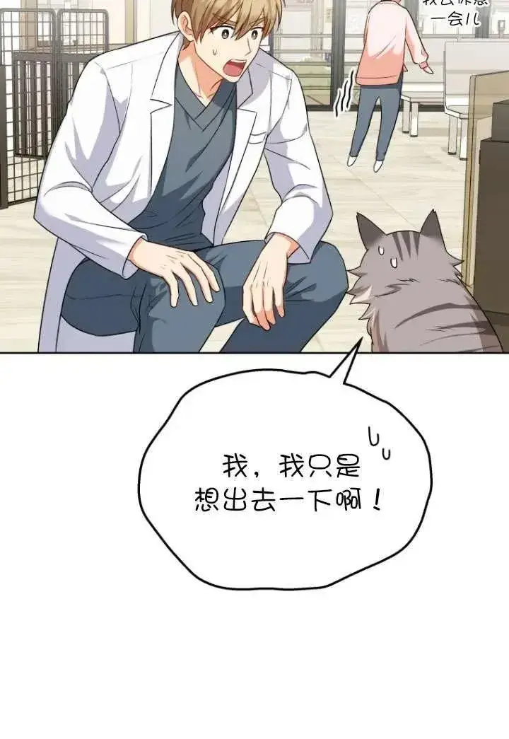 漫画《兽医先生！你好？》第21话第20张图