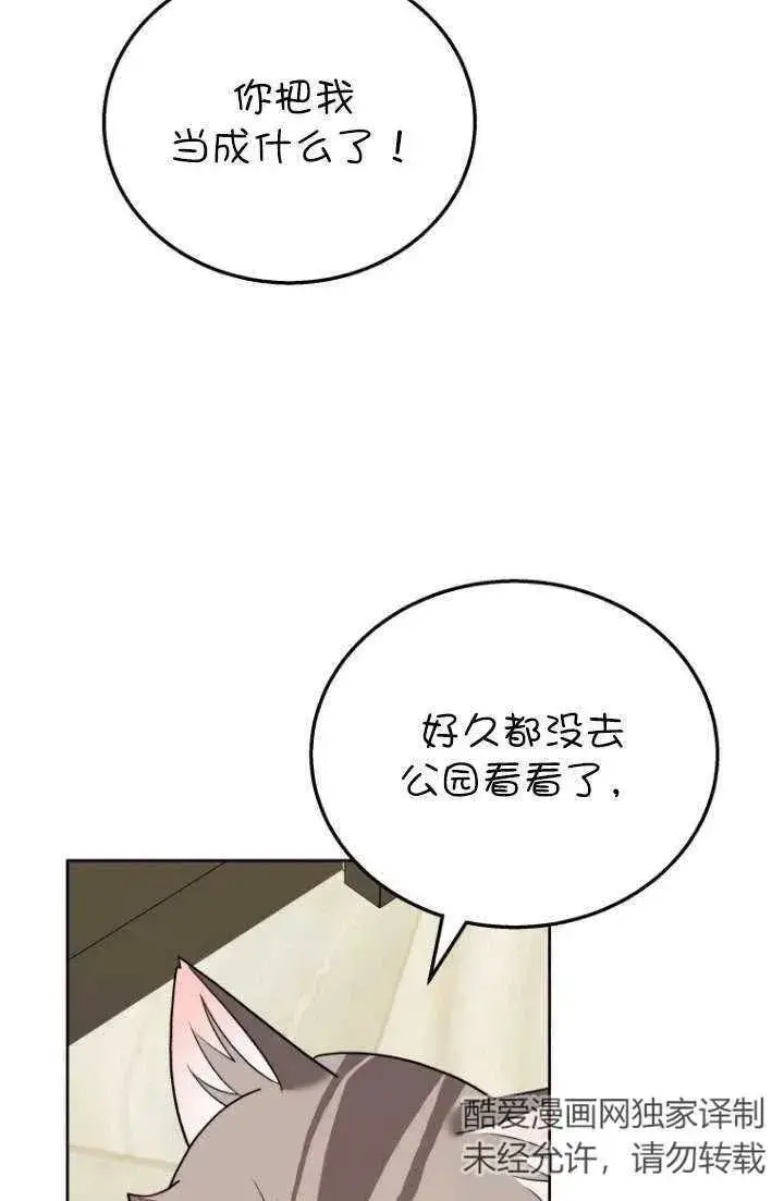 漫画《兽医先生！你好？》第21话第22张图