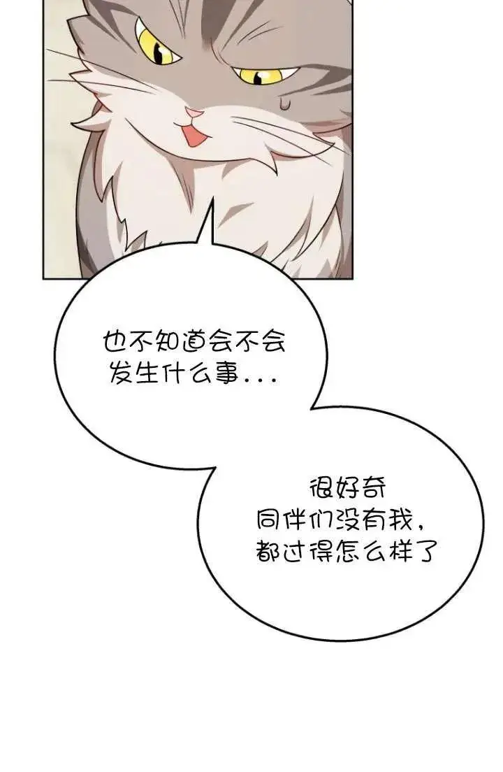 漫画《兽医先生！你好？》第21话第23张图