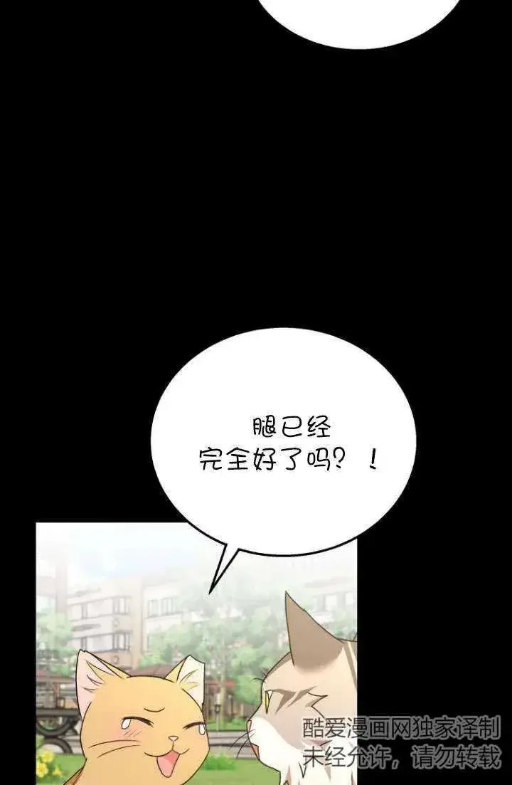 漫画《兽医先生！你好？》第21话第34张图
