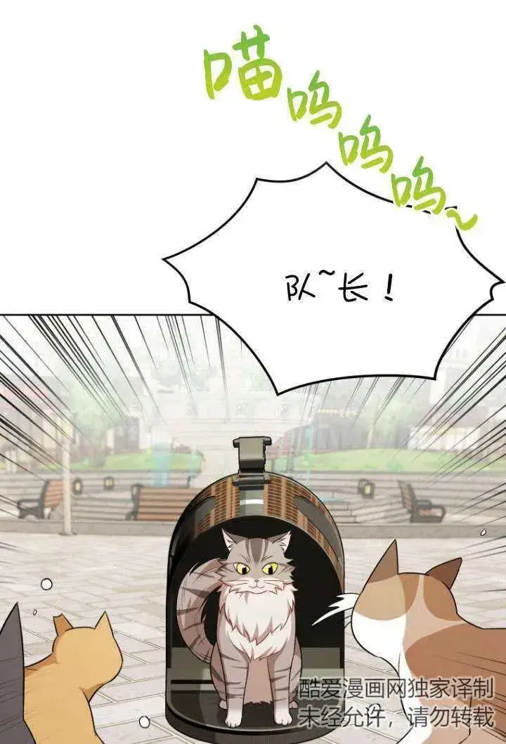 漫画《兽医先生！你好？》第21话第54张图
