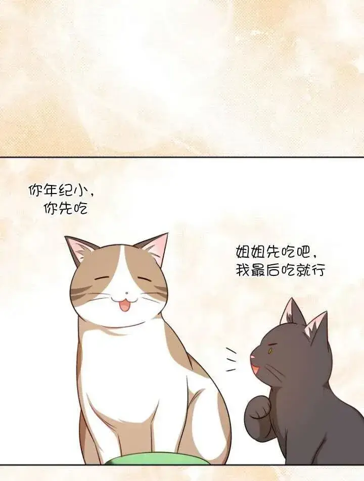 漫画《兽医先生！你好？》第21话第75张图
