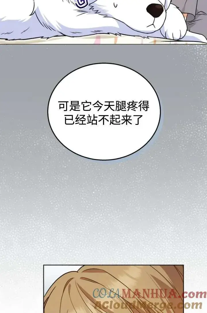 《兽医先生！你好？》第22话图55