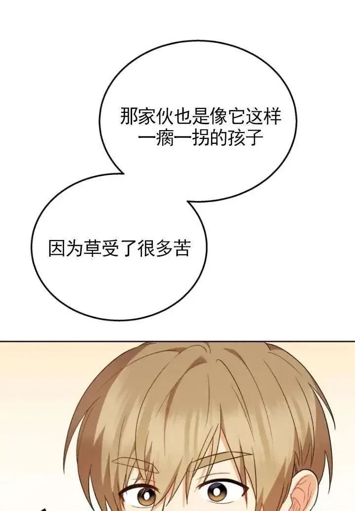 《兽医先生！你好？》第23话图34