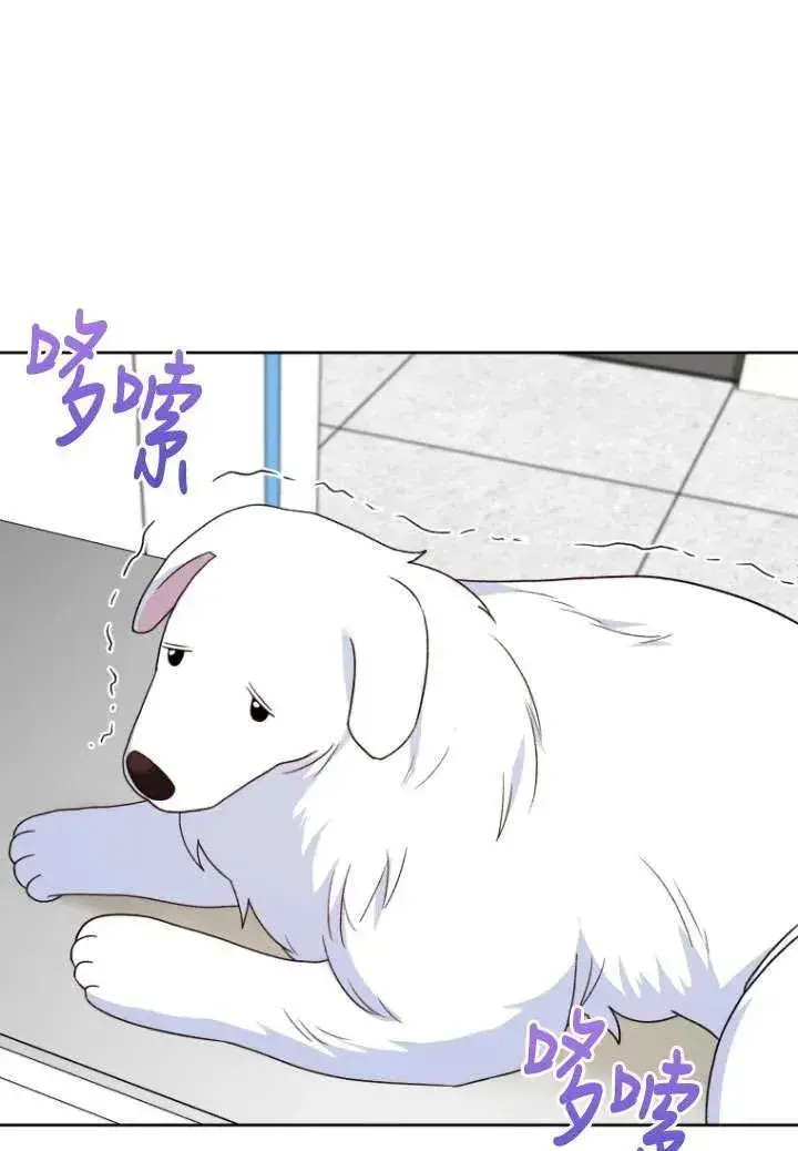 《兽医先生！你好？》第23话图47