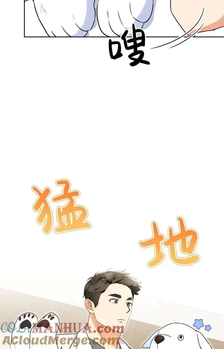 漫画《兽医先生！你好？》第24话第21张图