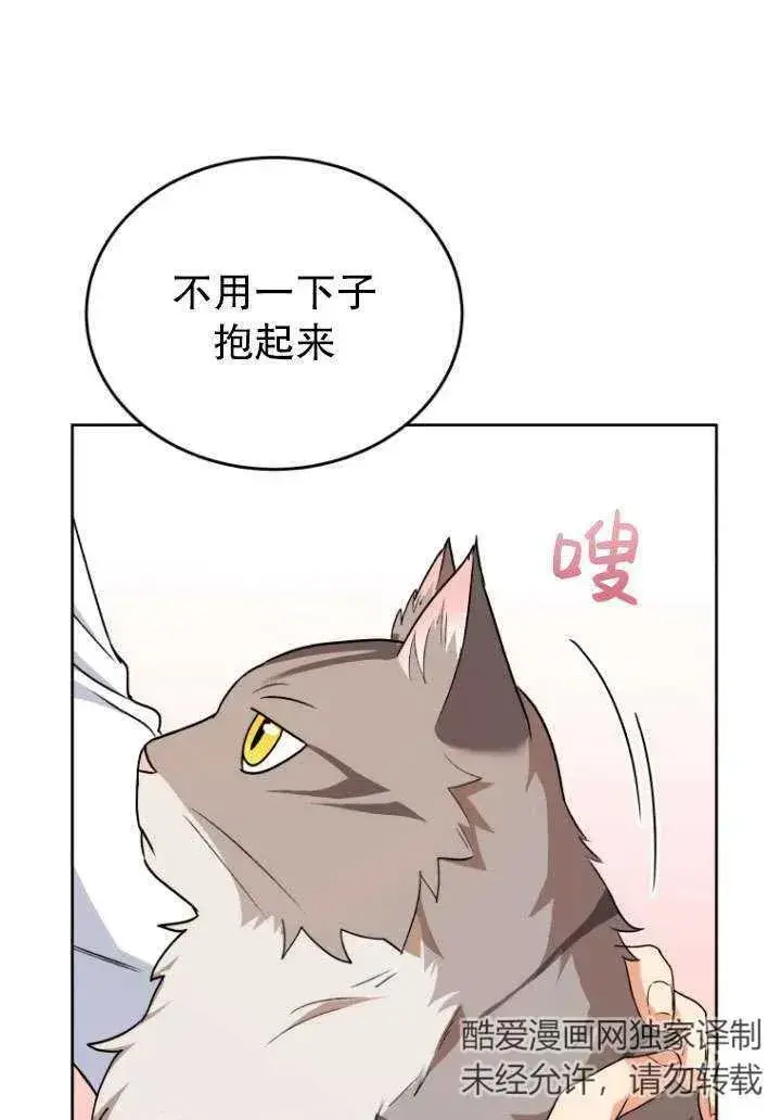 漫画《兽医先生！你好？》第24话第34张图
