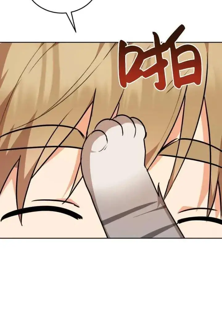 漫画《兽医先生！你好？》第24话第36张图