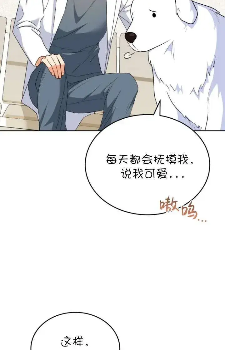 漫画《兽医先生！你好？》第24话第6张图