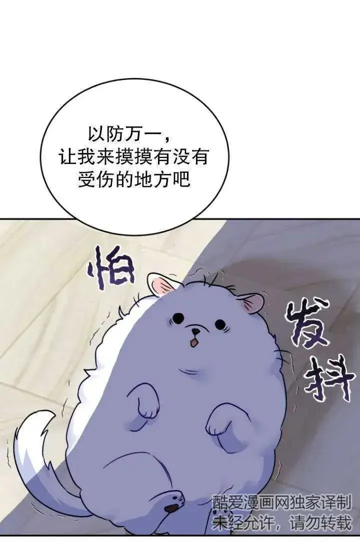 漫画《兽医先生！你好？》第24话第95张图