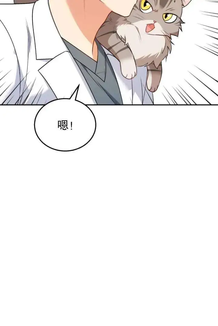 漫画《兽医先生！你好？》第25话第11张图